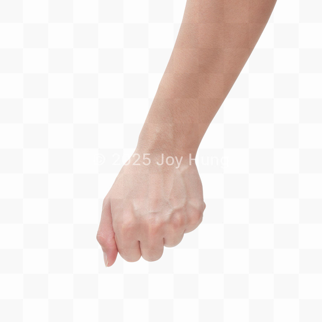 Close-up of a closed fist on a white background