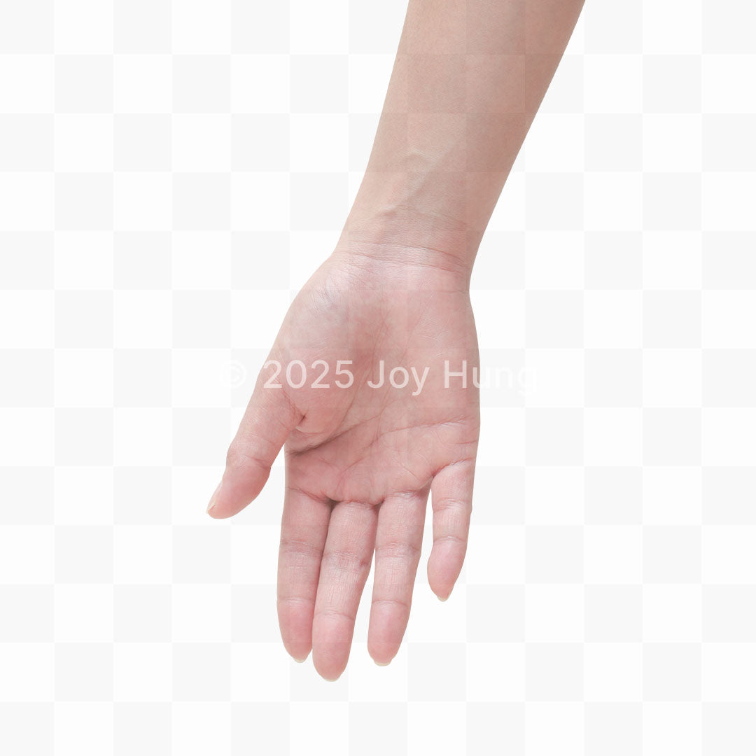 Open hand on a white background.